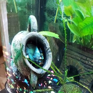 Meet your Posher, Tamara